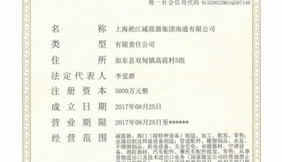 上海淞江减震器集团南通有限公司营业执照缩略图