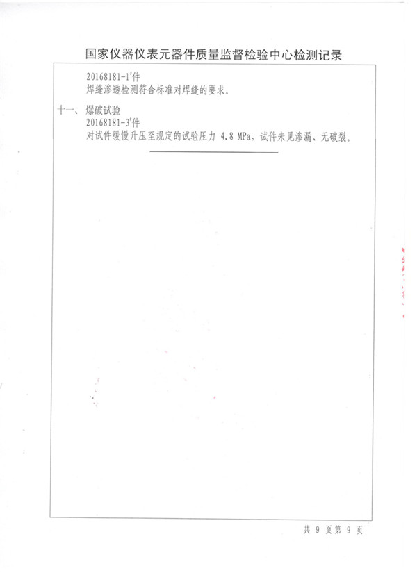 特种设备形式试验报告：波纹管BGF插图20