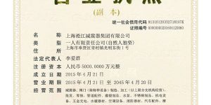 淞江集团营业执照副本