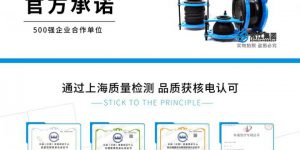 【资质证书】通过上海质量检测 品质获核电认可