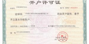 上海淞江减震器集团南通有限公司开户许可证缩略图