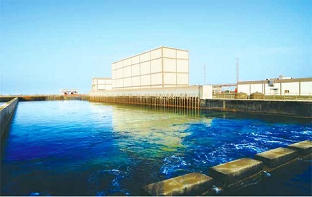 沙特拉比格海水淡化橡胶接头