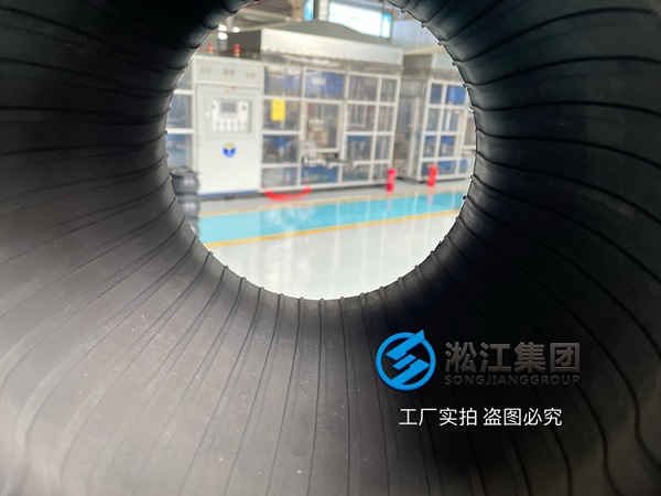DN200,1.0MPA橡胶接头橡胶软接头应用项目案例：上海泰和污水处理厂插图3
