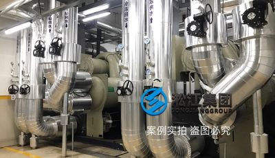 淞江集团为TRANE特灵冷水机组配套可曲挠橡胶接头缩略图