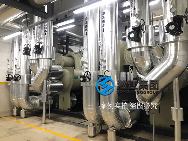 淞江集团为TRANE特灵冷水机组配套可曲挠橡胶接头插图