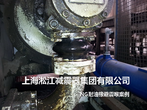 进口液压泵配套NG耐油橡胶避震喉照片
